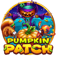 Sgpumpkinpatch